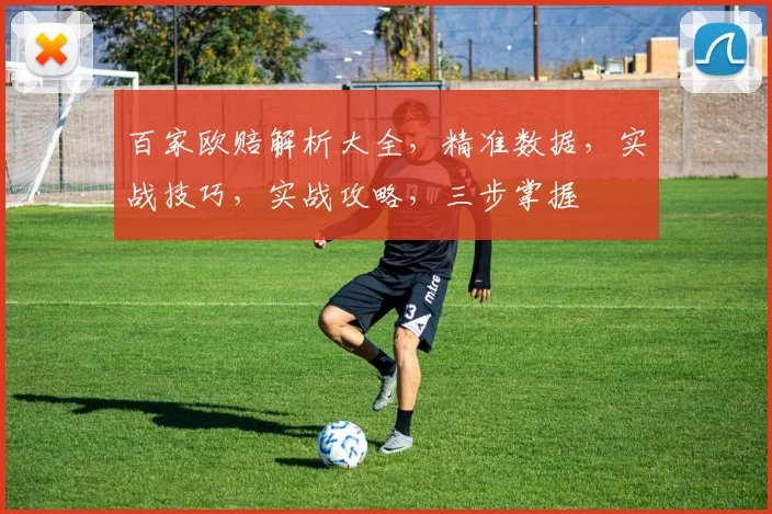 百家欧赔解析大全，精准数据，实战技巧，实战攻略，三步掌握